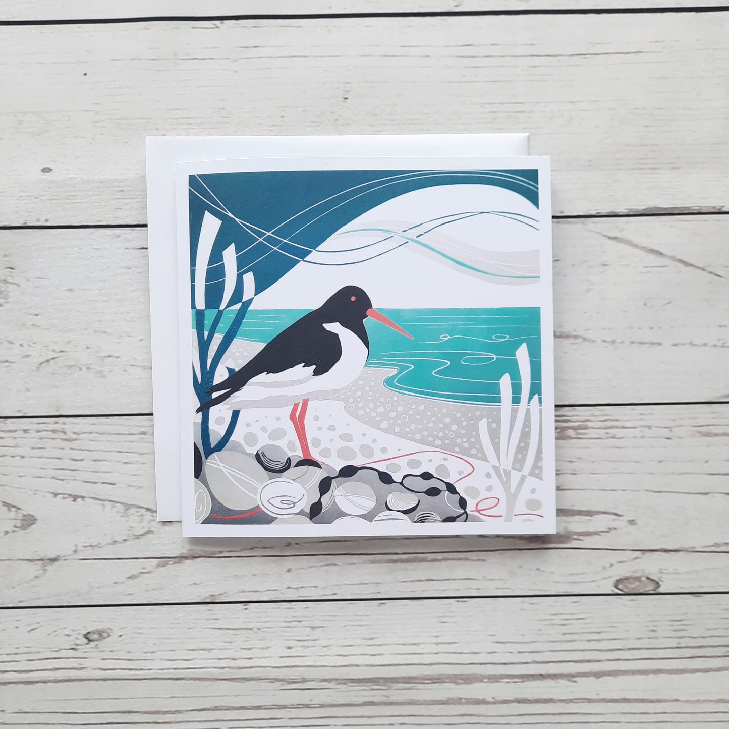 Shoreline Oystercatcher - Greetings Card