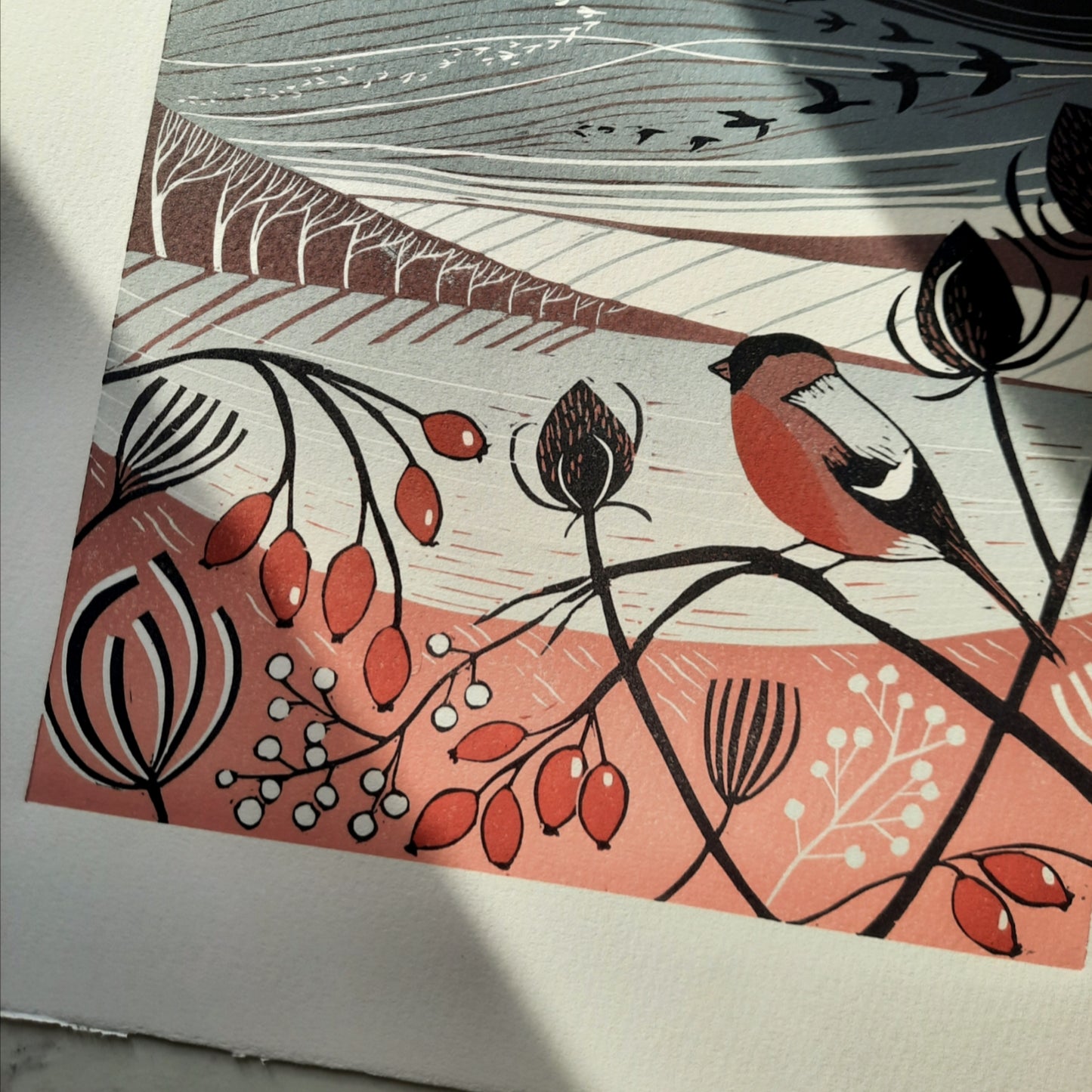 Winter Bullfinch - Original Lino Print