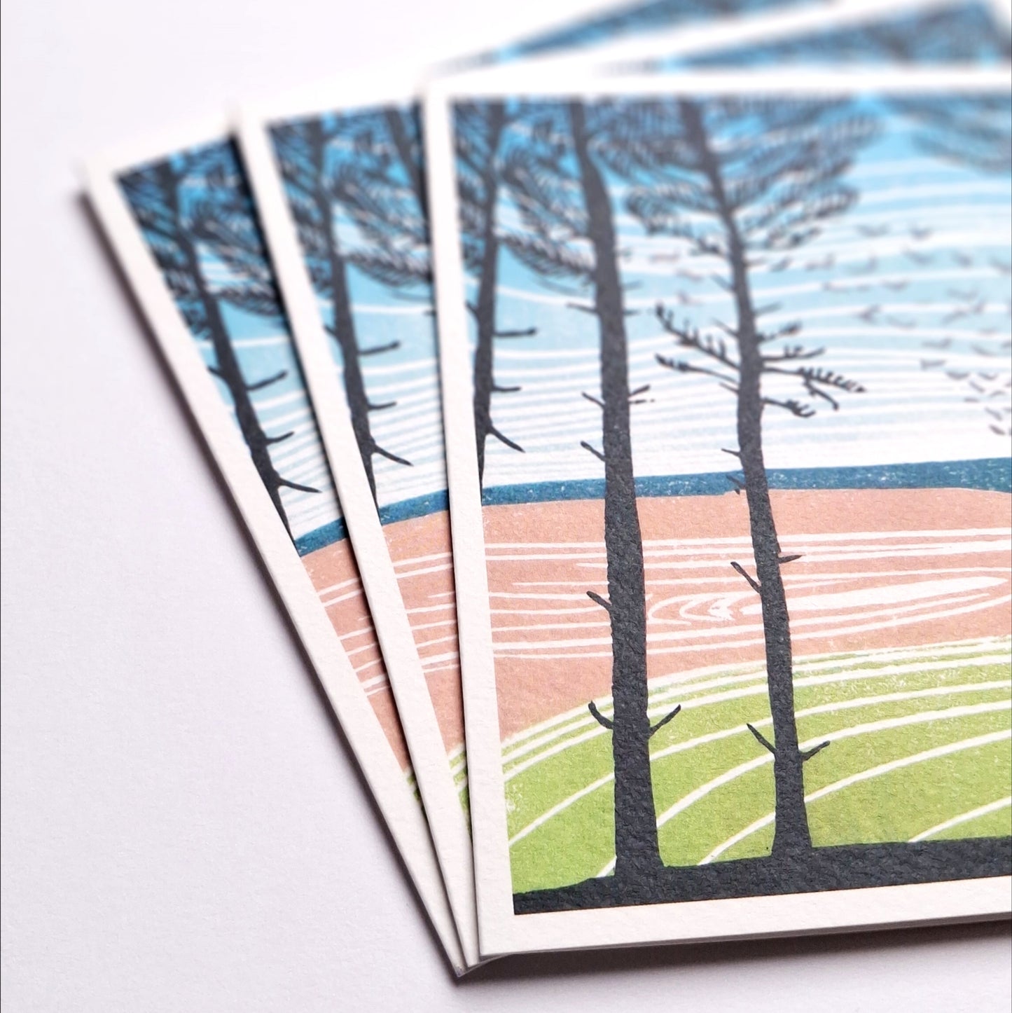 Holkham View - Greetings Card