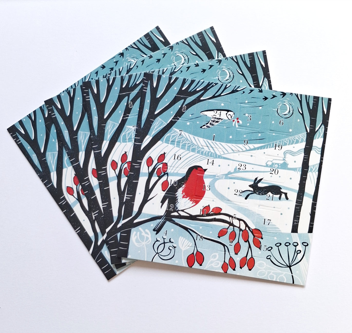 Christmas in the Country - Advent Calendar Greetings Card
