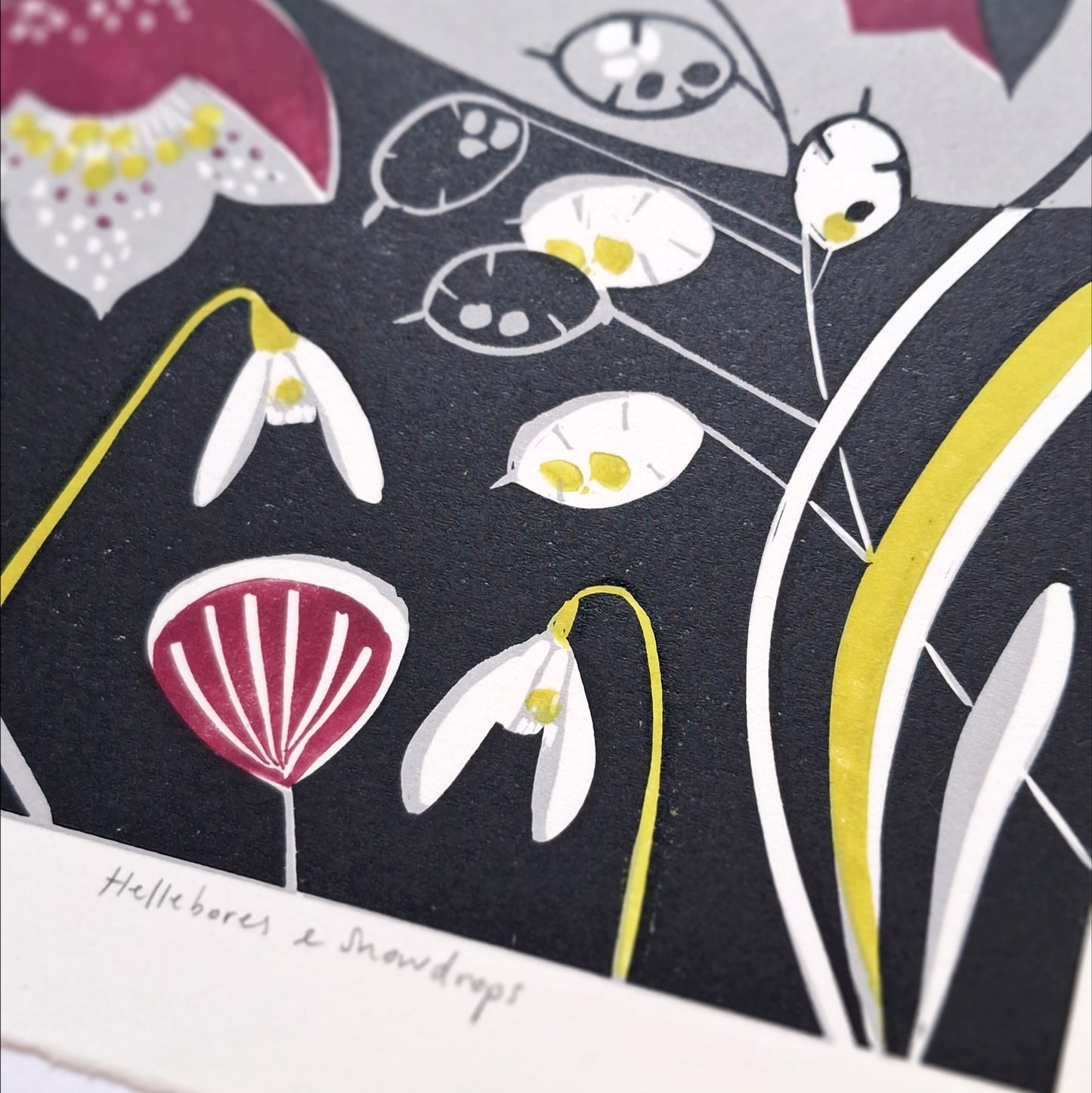 Hellebores & Snowdrops - Original Lino Print