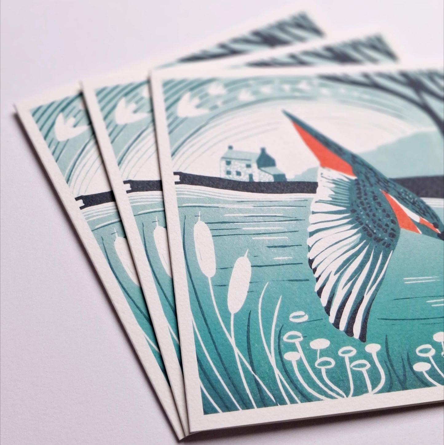Canal Kingfisher - Greetings Card