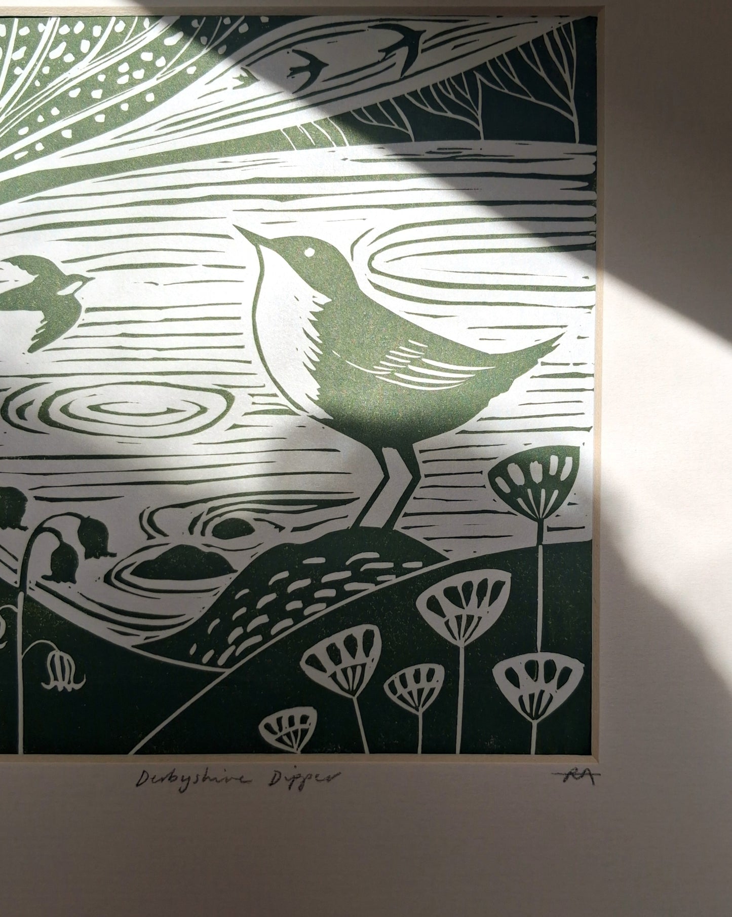 Derbyshire Dipper - Original Lino Print