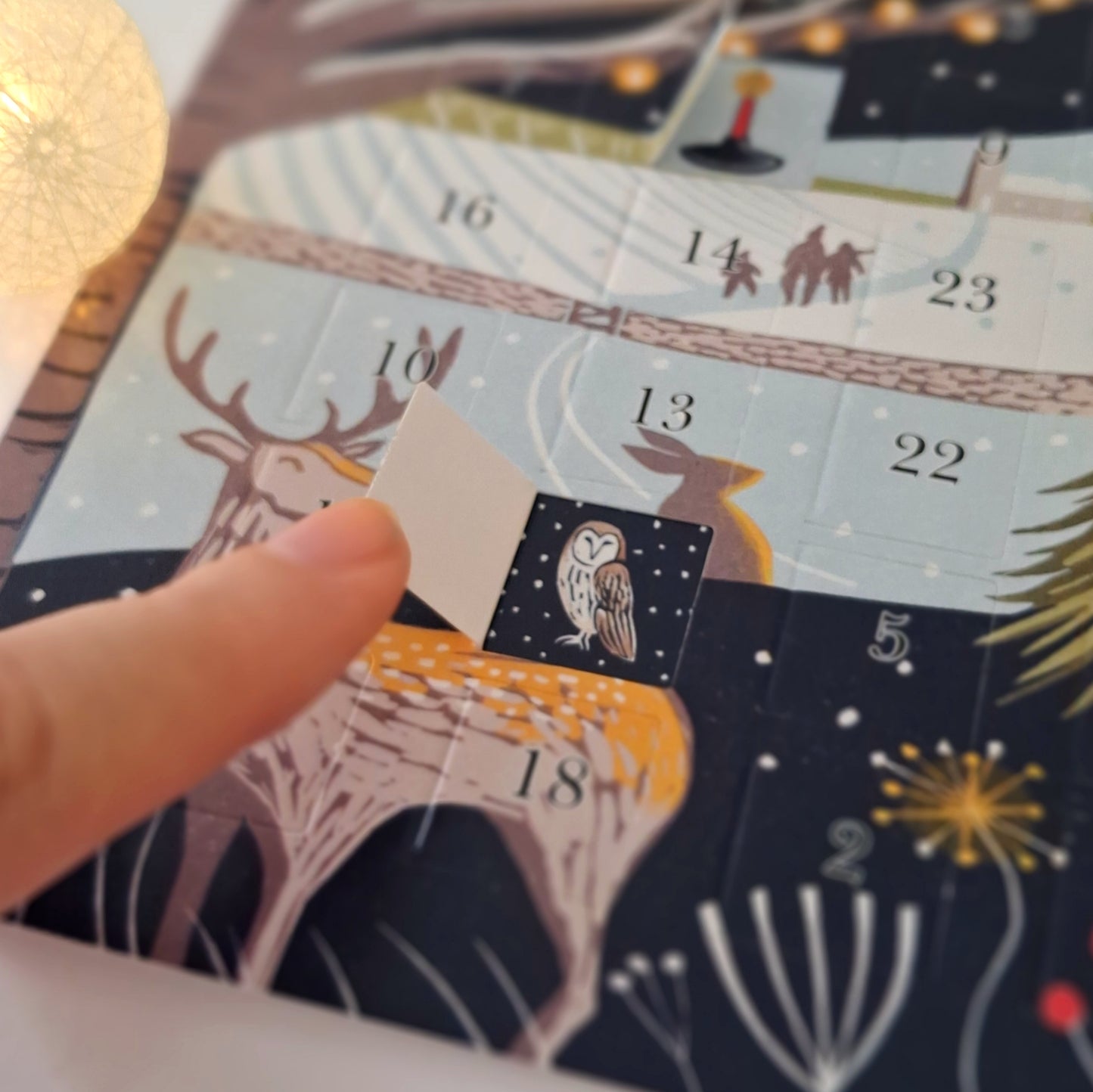 Moonlit Christmas - Advent Calendar Greetings Card