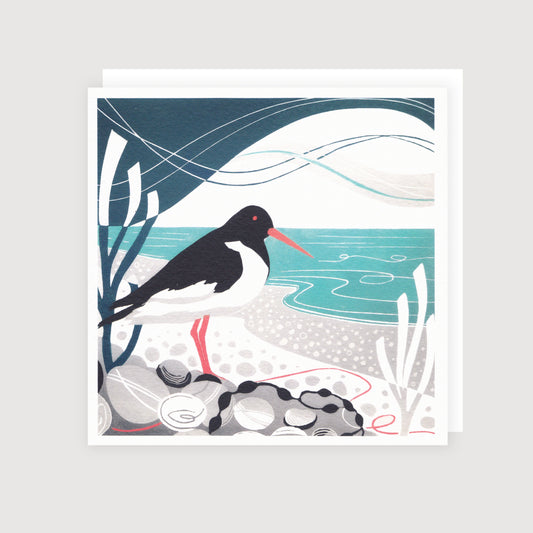 Shoreline Oystercatcher - Greetings Card