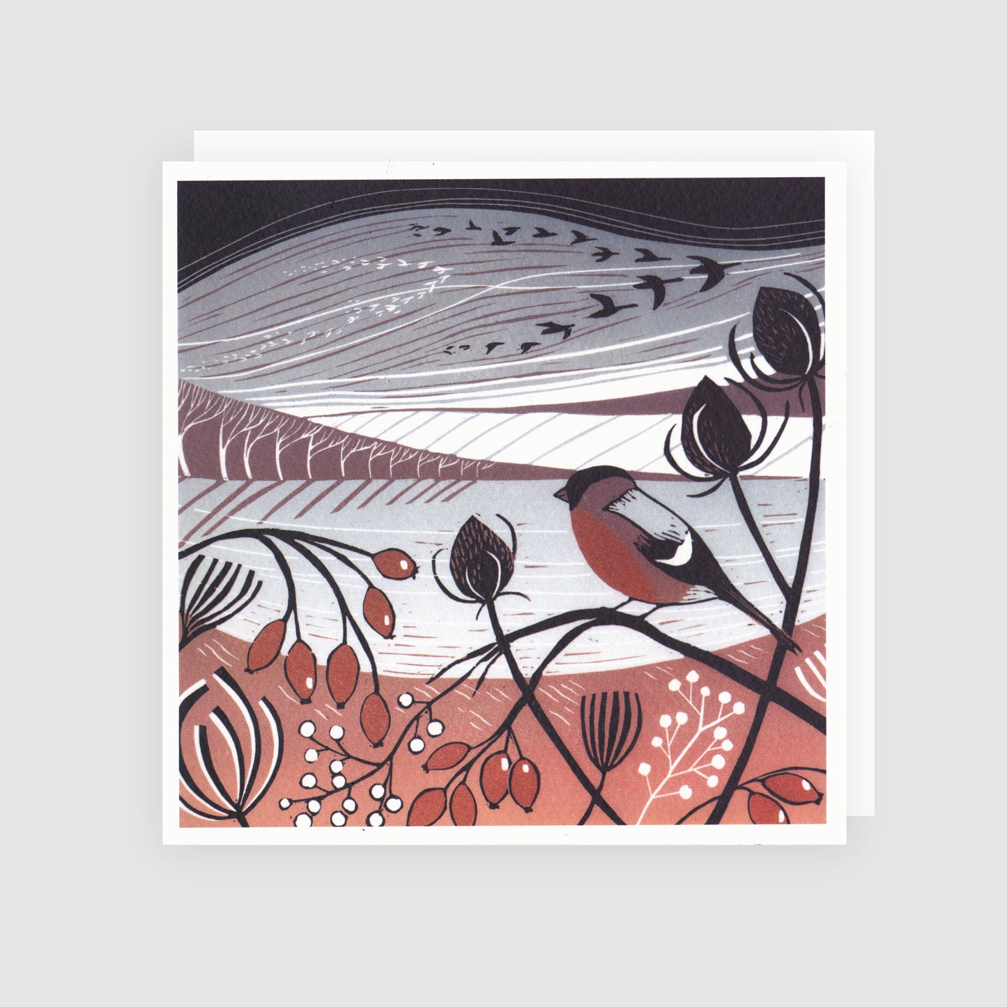 Winter Bullfinch - Greetings Card